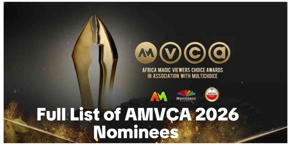 africa-magic-viewers-choice-award