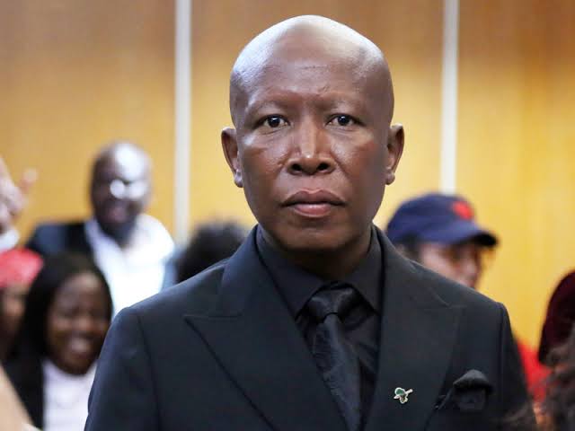 julius-malema-court-jails-s-african-opposition-leader-5-years-on-gun-charges