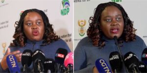 Xenophobia: “Our artistes losing gigs, businesses affected” - South African minister laments