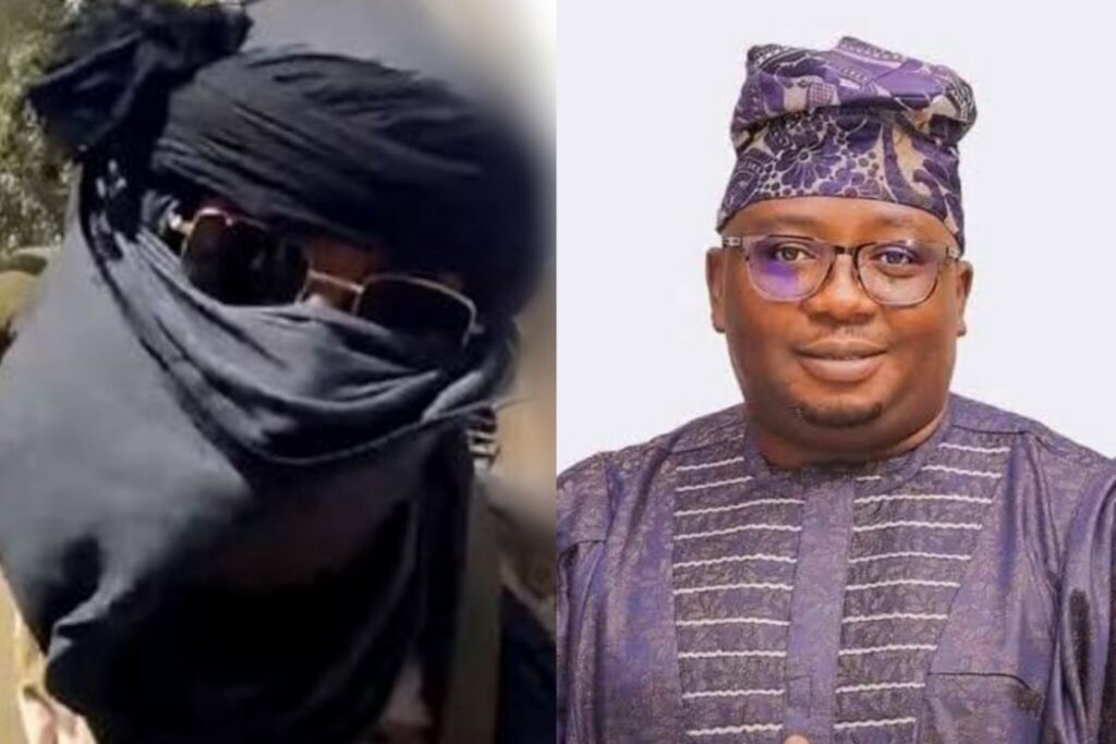 Gunmen abduct former power minister Adebayo Adelabu&rsquo;s sister and twin sons in Ibadan