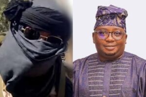 Gunmen abduct former power minister Adebayo Adelabu’s sister and twin sons in Ibadan