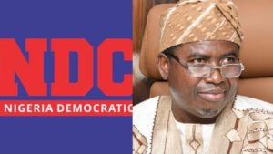 "INEC denied us access code to upload our candidates" – NDC