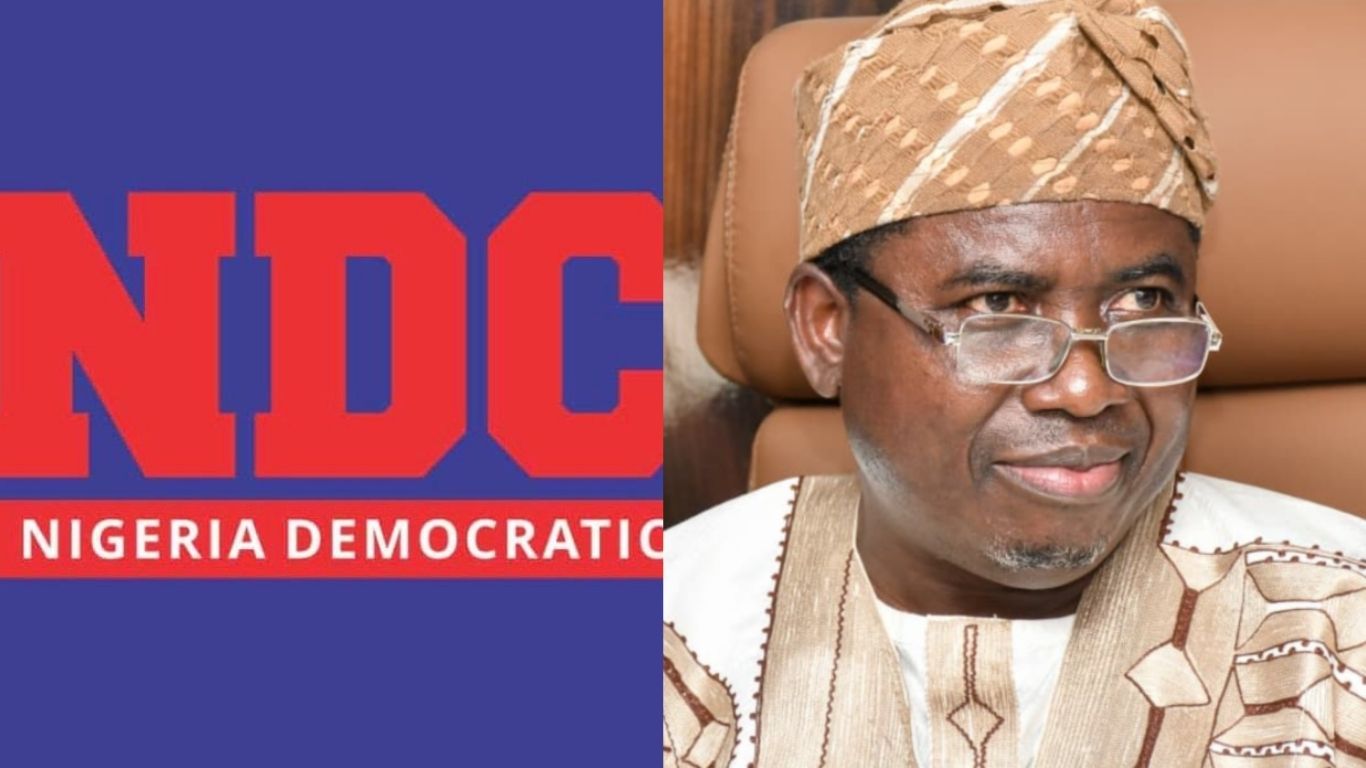 "INEC denied us access code to upload our candidates" – NDC