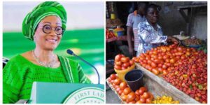 "It&rsquo;s not just akara, FG is also empowering tomatoes seller" - Remi Tinubu Replies Critics