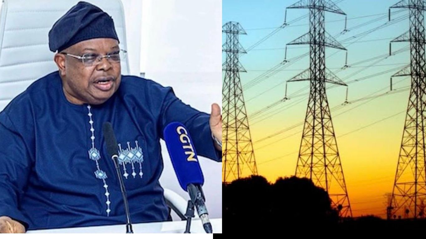 “Slow down, everything in our freezer is freezing” – Minister of Power reveals Nigerians’ reaction to improved electricity