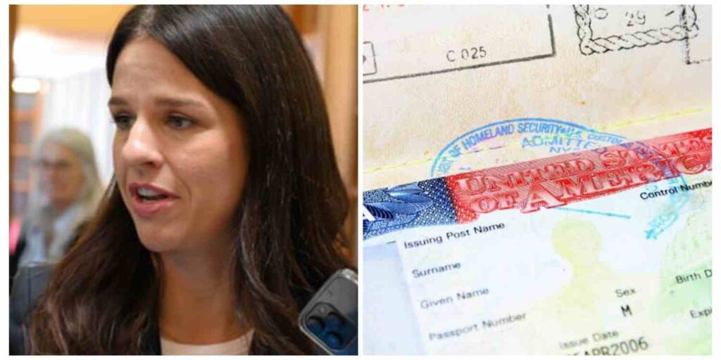 new-zealand-lists-2-key-rules-for-foreigners-applying-for-the-entertainers-work-visa