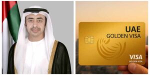 uae-highlights-8-categories-of-foreigners-who-can-get-golden-visa-under-specialisations-scheme
